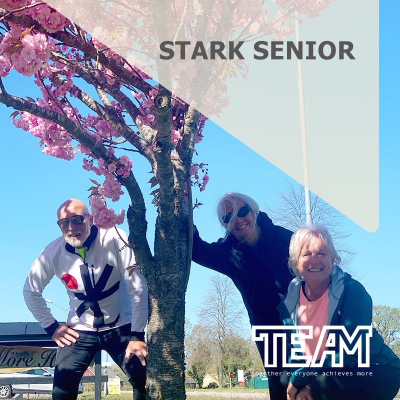 TEAM - Stark senior